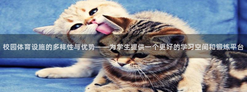 意昂体育4招商电话号码查询：校园体育设施的多样性与优