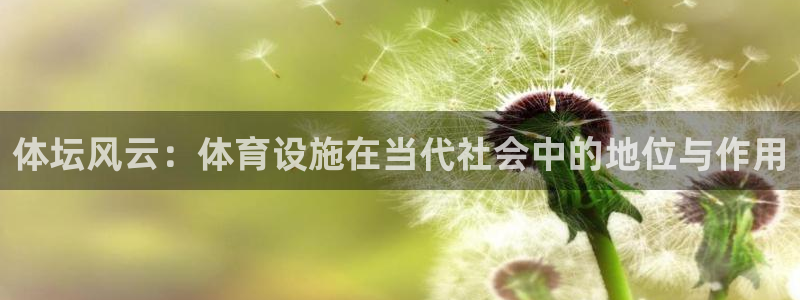 意昂4五金厂：体坛风云：体育设施在当代社会中的地位与