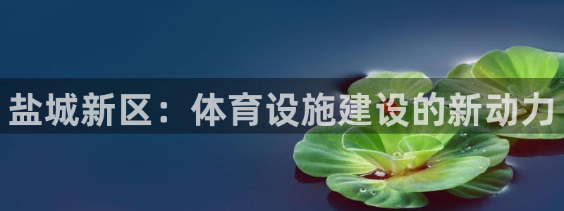 意昂4娱乐首页官网下载：盐城新区：体育设施建设的新动