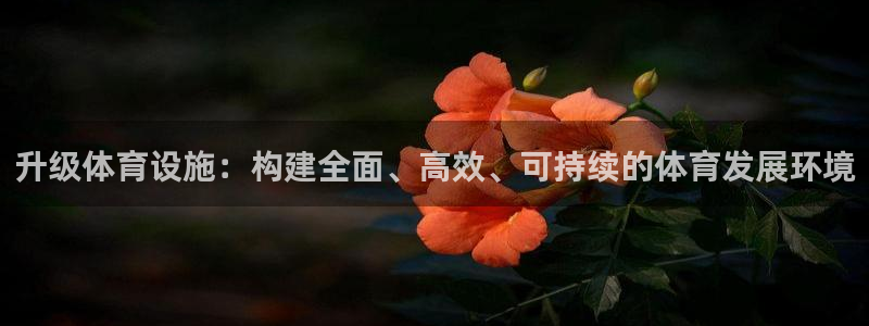 意昂体育4平台是正规平台吗安全吗：升级体育设施：构建