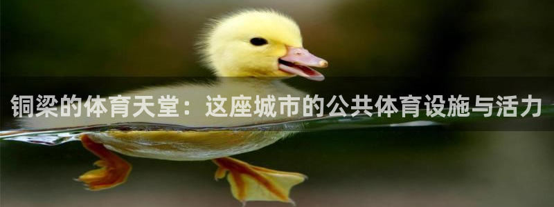 意昂4娱乐代理怎么样：铜梁的体育天堂：这座城市的公共