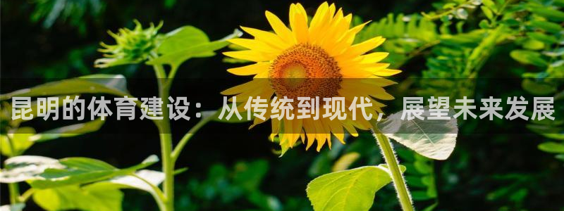 意昂4娱乐：昆明的体育建设：从传统到现代，展望未来发
