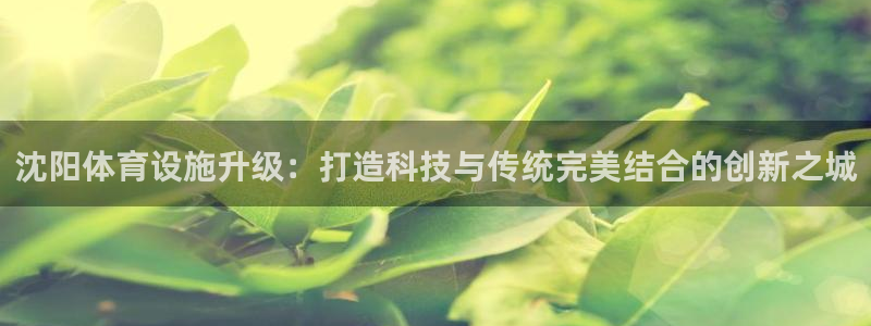 意昂体育4招商电话地址是多少：沈阳体育设施升级：打造