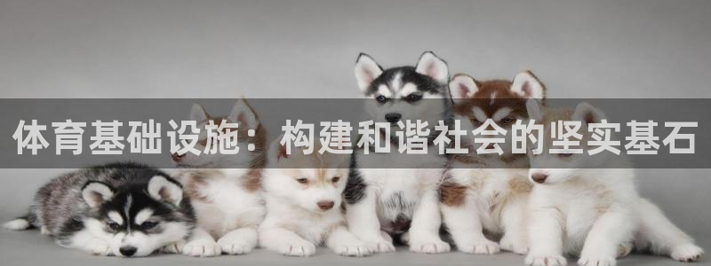 意昂4娱乐代理怎么样：体育基础设施：构建和谐社会的坚