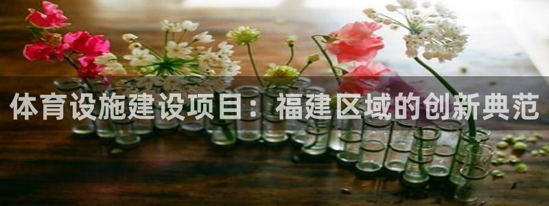 意昂体育4注册：体育设施建设项目：福建区域的创新典范