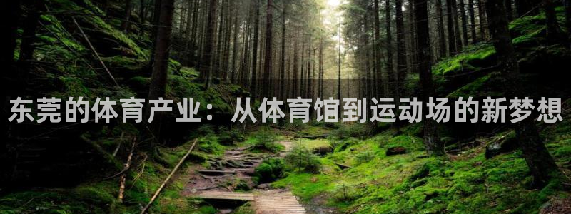 意昂体育4平台假的吗是真的吗：东莞的体育产业：从体育