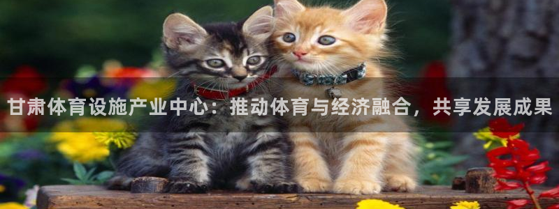 海南意昂体育4：甘肃体育设施产业中心：推动体育与经济