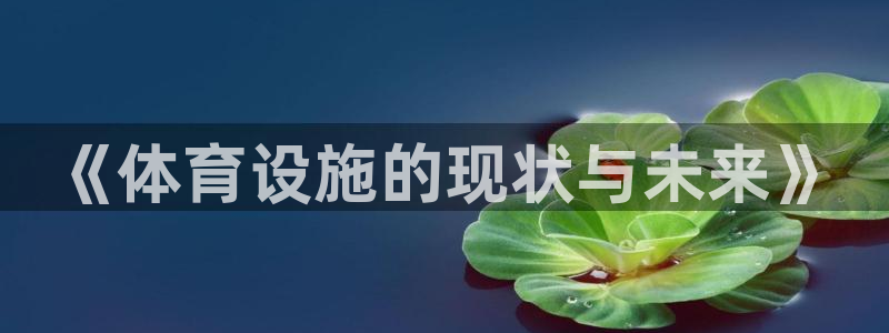 意昂4娱乐40996：《体育设施的现状与未来》