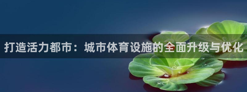 德国意昂4集团：打造活力都市：城市体育设施的全面升级