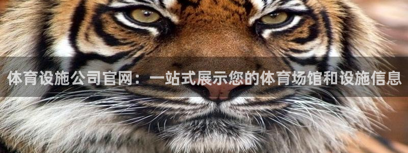意昂体育4：体育设施公司官网：一站式展示您的体育场馆