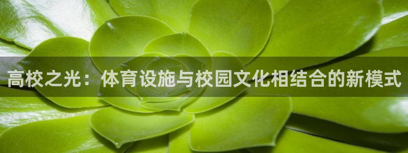 意昂4娱乐下载：高校之光：体育设施与校园文化相结合的
