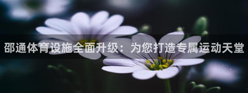 意昂4娱乐首页网站大全：邵通体育设施全面升级：为您打