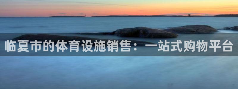 意昂体育4软件：临夏市的体育设施销售：一站式购物平台