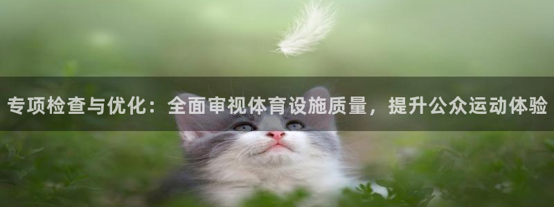 意昂4官方：专项检查与优化：全面审视体育设施质量，提