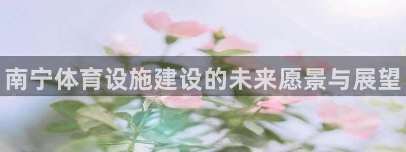 意昂4娱乐平台：南宁体育设施建设的未来愿景与展望
