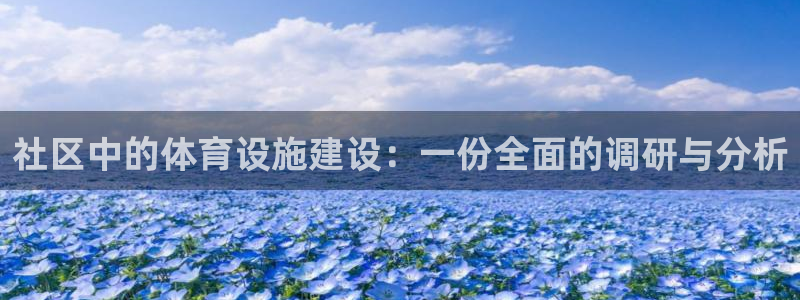 意昂体育4招商电话地址：社区中的体育设施建设：一份全
