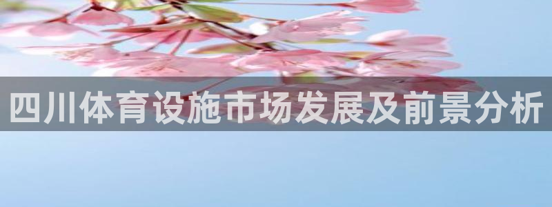 意昂4集团E.ON：四川体育设施市场发展及前景分析