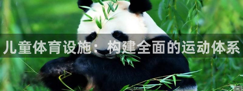 意昂4代理：儿童体育设施：构建全面的运动体系