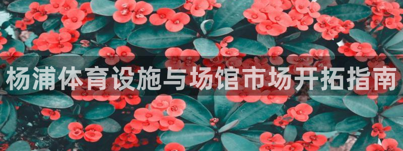 意昂4代理：杨浦体育设施与场馆市场开拓指南