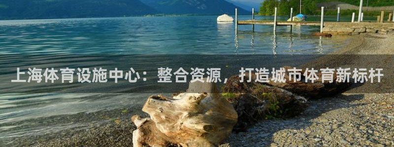 意昂4娱乐：上海体育设施中心：整合资源，打造城市体育