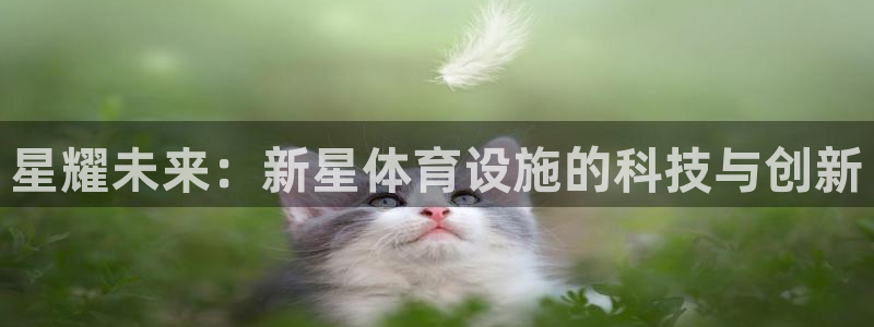 意昂体育4招商电话是多少：星耀未来：新星体育设施的科