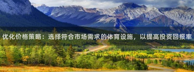 意昂4五金厂：优化价格策略：选择符合市场需求的体育设