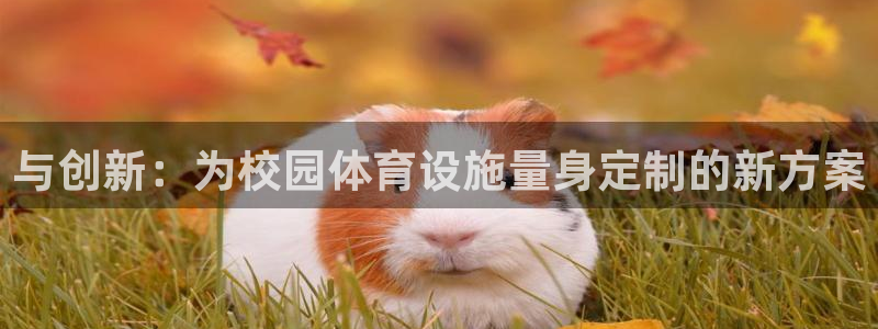 意昂体育4招商电话是多少：与创新：为校园体育设施量身