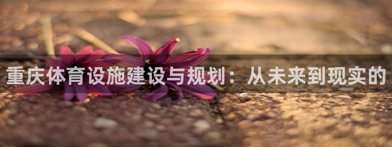 意昂4娱乐网站：重庆体育设施建设与规划：从未来到现实