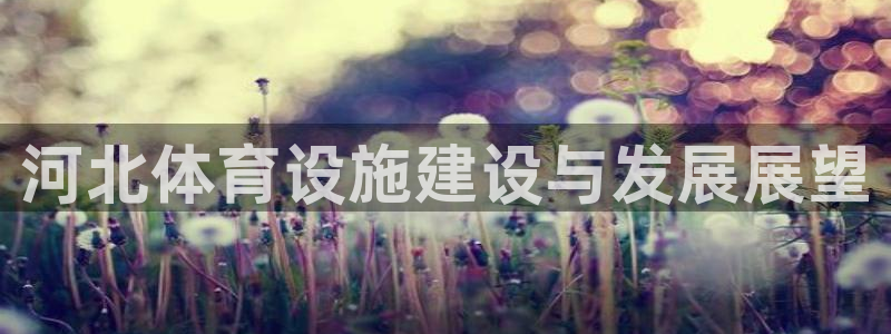 意昂4集团：河北体育设施建设与发展展望