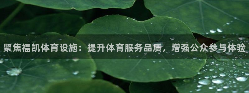 意昂4五金厂：聚焦福凯体育设施：提升体育服务品质，增