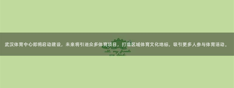 意昂体育4招商电话是多少号码：武汉体育中心即将启动建