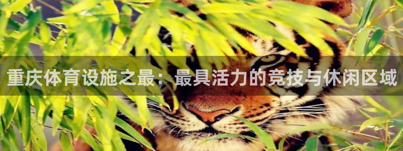 意昂体育4软件：重庆体育设施之最：最具活力的竞技与休