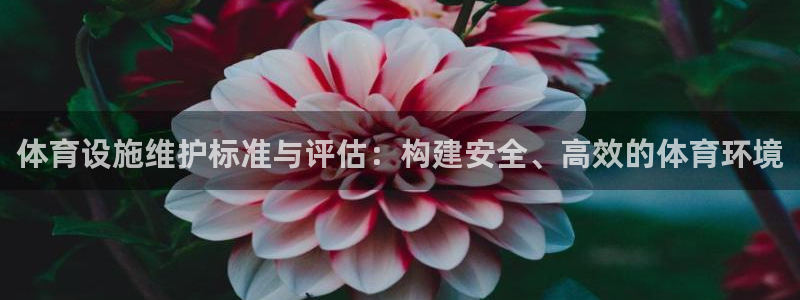 意昂体育4平台假的吗是真的吗吗：体育设施维护标准与评
