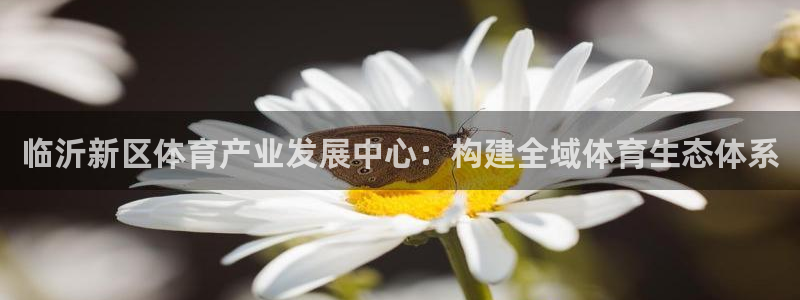 意昂平台体育：临沂新区体育产业发展中心：构建全域体育