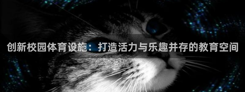 意昂体育4平台是正规平台吗：创新校园体育设施：打造活