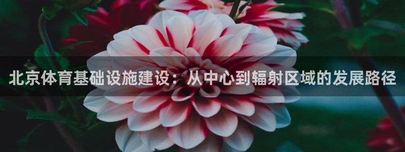意昂体育4招商电话号码是多少：北京体育基础设施建设：