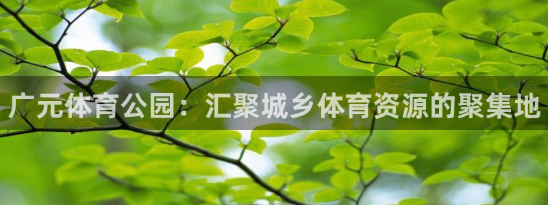 意昂体育4平台注册流程图：广元体育公园：汇聚城乡体育