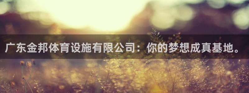 意昂体育4平台注册流程视频：广东金邦体育设施有限公司