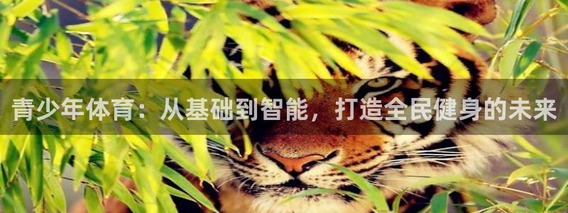 意昂体育4招商电话地址是多少：青少年体育：从基础到智