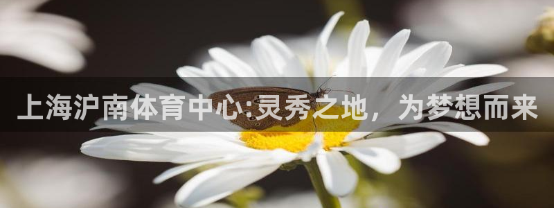 意昂体育4招商电话号码查询是多少：上海沪南体育中心: