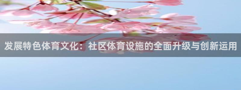意昂4娱乐首页网站大全：发展特色体育文化：社区体育设
