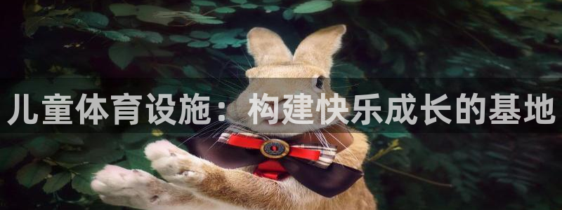 意昂4新能源：儿童体育设施：构建快乐成长的基地