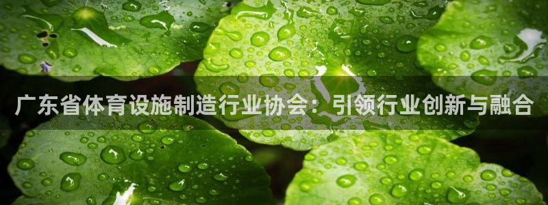 意昂体育4平台假的吗是真的吗：广东省体育设施制造行业