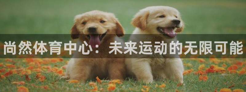 意昂4集团简介：尚然体育中心：未来运动的无限可能
