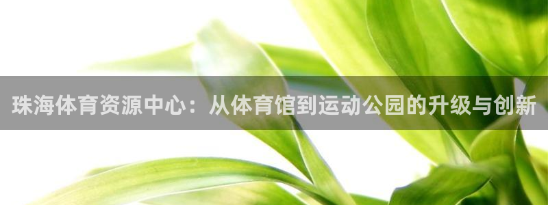 意昂4集团：珠海体育资源中心：从体育馆到运动公园的升