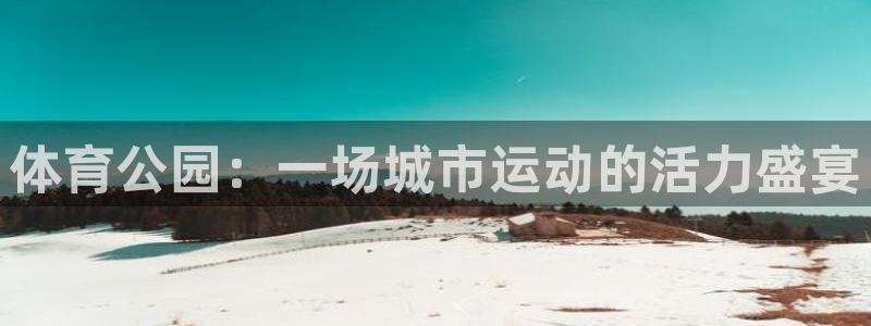 注册意昂4：体育公园：一场城市运动的活力盛宴