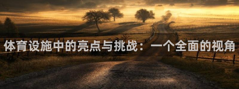 意昂体育4平台注册：体育设施中的亮点与挑战：一个全面