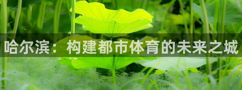 意昂4娱乐平台：哈尔滨：构建都市体育的未来之城
