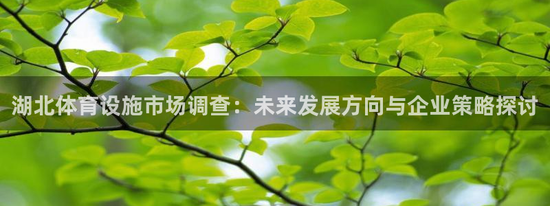 意昂4新能源：湖北体育设施市场调查：未来发展方向与企