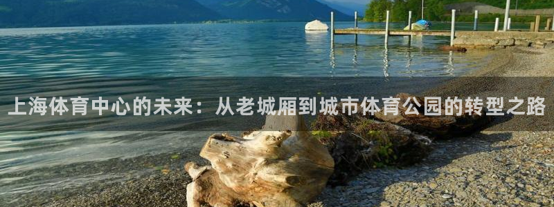 意昂体育4软件：上海体育中心的未来：从老城厢到城市体
